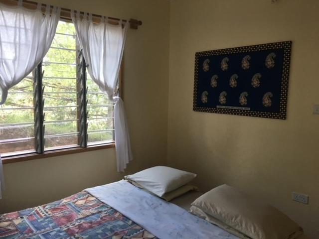 Milemeleni Guesthouse Lushoto Dış mekan fotoğraf